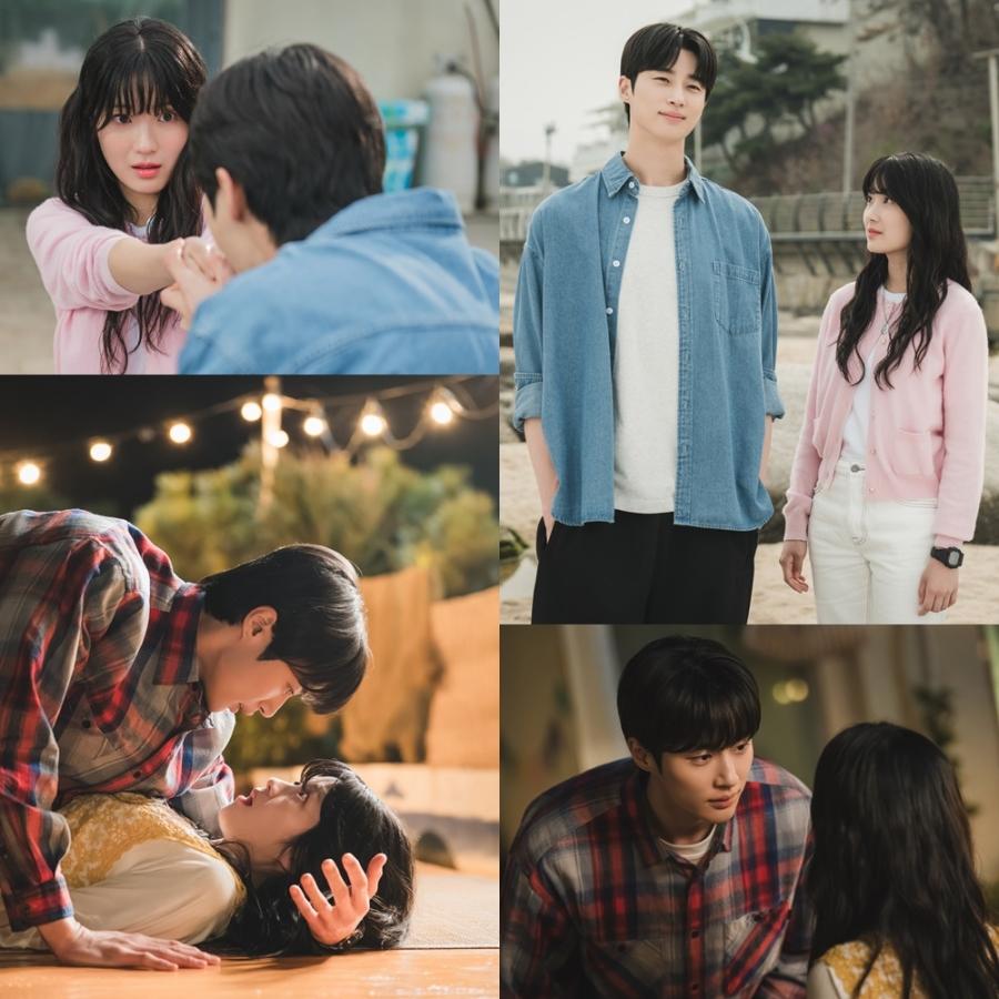 ソンジェ背負って走れ|韓国俳優女優タレント図鑑