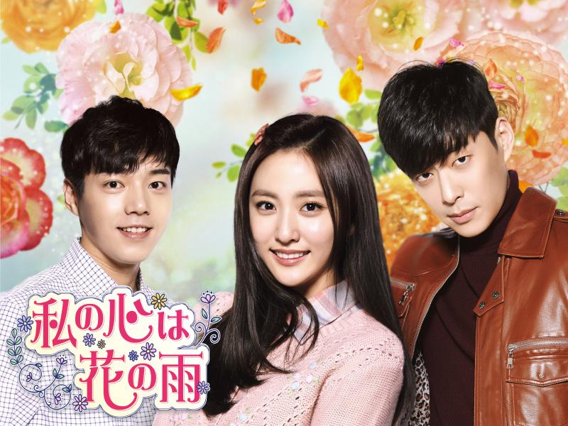 私の心の花の雨|韓国俳優女優タレント図鑑