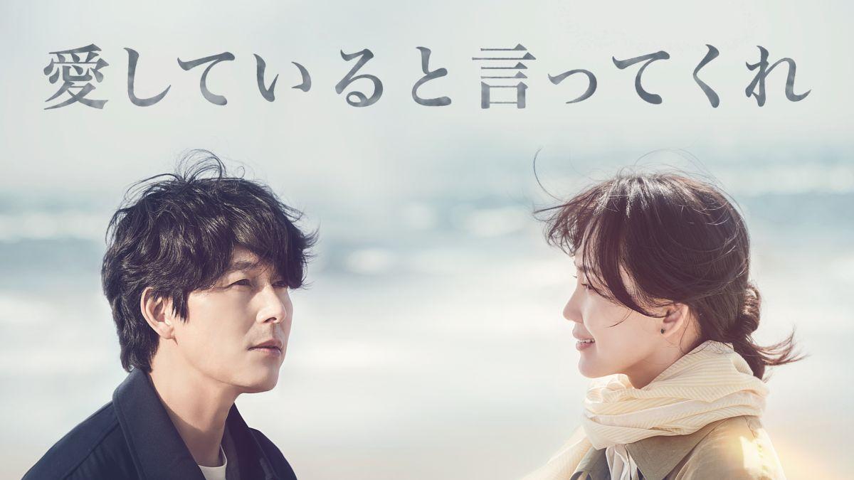 愛していると言ってくれ|韓国俳優女優タレント図鑑