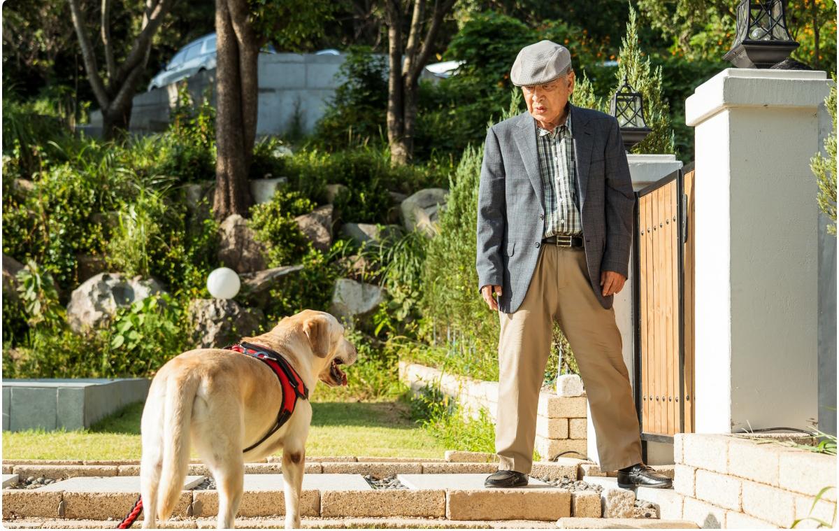 ケソリ|韓国俳優女優タレント図鑑