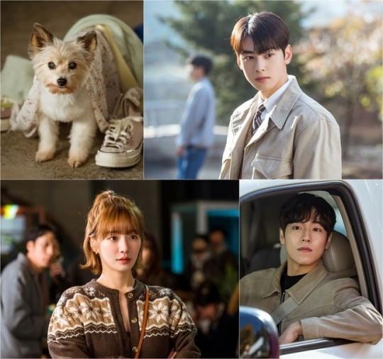 ワンダフルデイズ|韓国俳優女優タレント図鑑