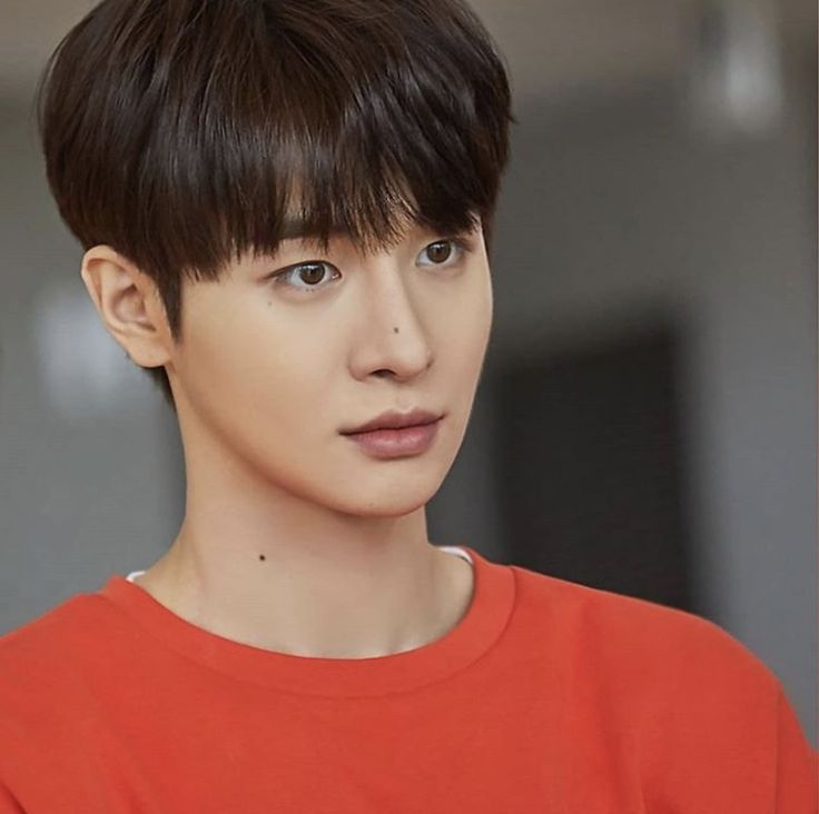 パク・サンナム（박상남）のプロフィール