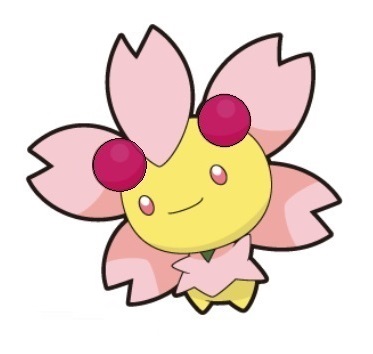 チェリム（채림）のプロフィール